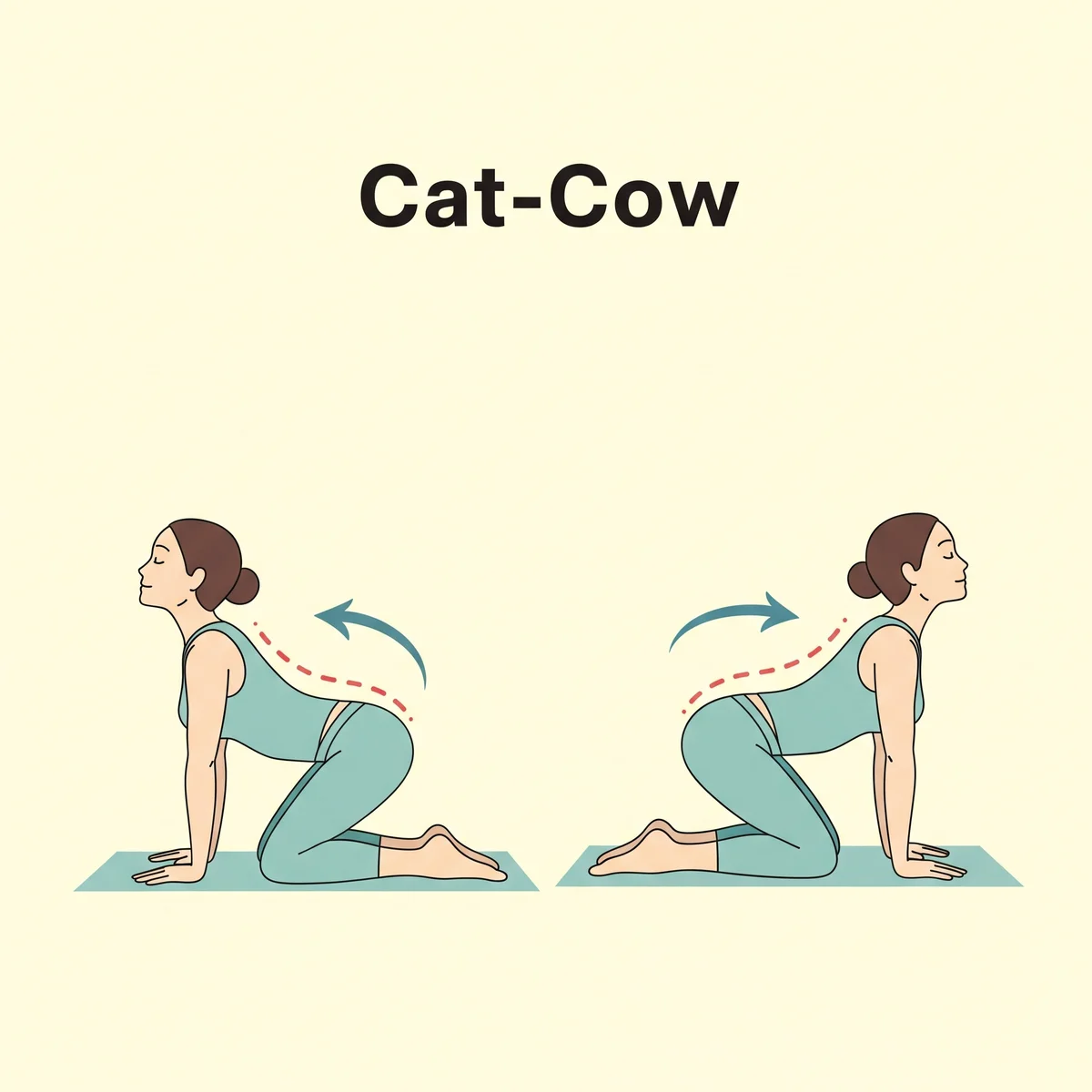Flow 1: The Cat-Cow Awakening for Spinal Flexibility