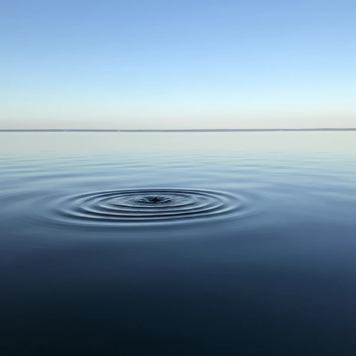 Tired of the Chaos? Discover Radical Stability